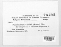 Naohidemyces vaccinii image